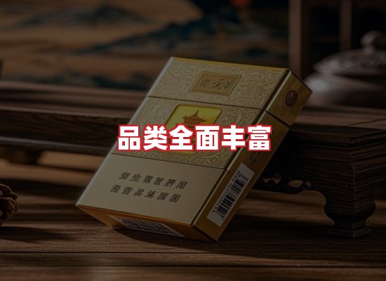 专业团队